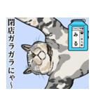 にゃんこ学園(PART8)（個別スタンプ：16）