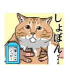 にゃんこ学園(PART8)（個別スタンプ：35）