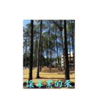 That year our memories（個別スタンプ：6）
