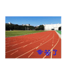That year our memories（個別スタンプ：11）