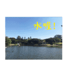 That year our memories（個別スタンプ：12）
