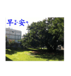 That year our memories（個別スタンプ：14）