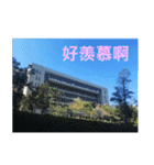 That year our memories（個別スタンプ：16）
