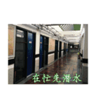 That year our memories（個別スタンプ：19）