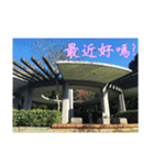 That year our memories（個別スタンプ：22）