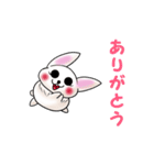 うさぎの`みぃ`が語る（個別スタンプ：3）