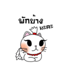 Nina cat（個別スタンプ：22）