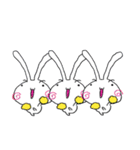 RABBIT Stickers for Family and Friends（個別スタンプ：36）