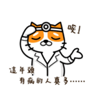 CAT hospital（個別スタンプ：28）