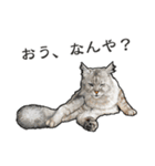 もふもふ猫ズ2（個別スタンプ：4）