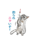 もふもふ猫ズ2（個別スタンプ：12）