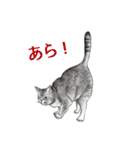 もふもふ猫ズ2（個別スタンプ：15）