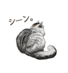 もふもふ猫ズ2（個別スタンプ：23）