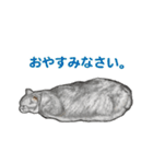 もふもふ猫ズ2（個別スタンプ：39）