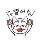 白猫さんの韓国語（個別スタンプ：15）