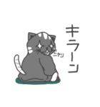 だぼねこ（個別スタンプ：10）