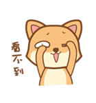 Shiba＆deer daily（個別スタンプ：17）