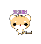 Dafa Shiba Inu (Do not push me)（個別スタンプ：7）