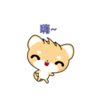 Dafa Shiba Inu (Do not push me)（個別スタンプ：9）