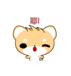 Dafa Shiba Inu (Do not push me)（個別スタンプ：11）