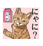 にゃんこ学園(PART7)（個別スタンプ：7）