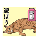 にゃんこ学園(PART7)（個別スタンプ：9）