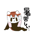 マジ☆レッサーパンダ（個別スタンプ：20）
