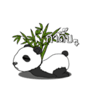 Cute Panda panda（個別スタンプ：5）