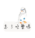 Parrots love to speak（個別スタンプ：3）