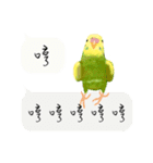 Parrots love to speak（個別スタンプ：4）