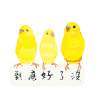 Parrots love to speak（個別スタンプ：5）