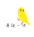 Parrots love to speak（個別スタンプ：8）