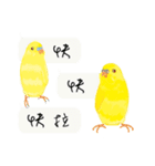 Parrots love to speak（個別スタンプ：11）