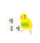 Parrots love to speak（個別スタンプ：12）