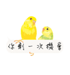 Parrots love to speak（個別スタンプ：15）