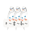 Parrots love to speak（個別スタンプ：16）