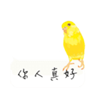 Parrots love to speak（個別スタンプ：17）