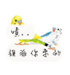 Parrots love to speak（個別スタンプ：19）