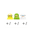 Parrots love to speak（個別スタンプ：20）