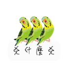 Parrots love to speak（個別スタンプ：21）