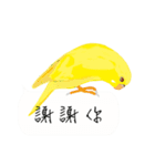 Parrots love to speak（個別スタンプ：22）