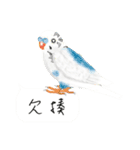 Parrots love to speak（個別スタンプ：24）