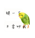 Parrots love to speak（個別スタンプ：25）