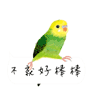 Parrots love to speak（個別スタンプ：27）