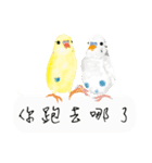 Parrots love to speak（個別スタンプ：29）