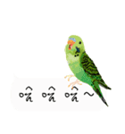 Parrots love to speak（個別スタンプ：31）