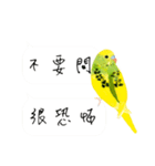 Parrots love to speak（個別スタンプ：32）