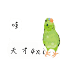 Parrots love to speak（個別スタンプ：33）