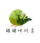 Parrots love to speak（個別スタンプ：38）