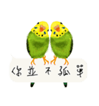 Parrots love to speak（個別スタンプ：40）